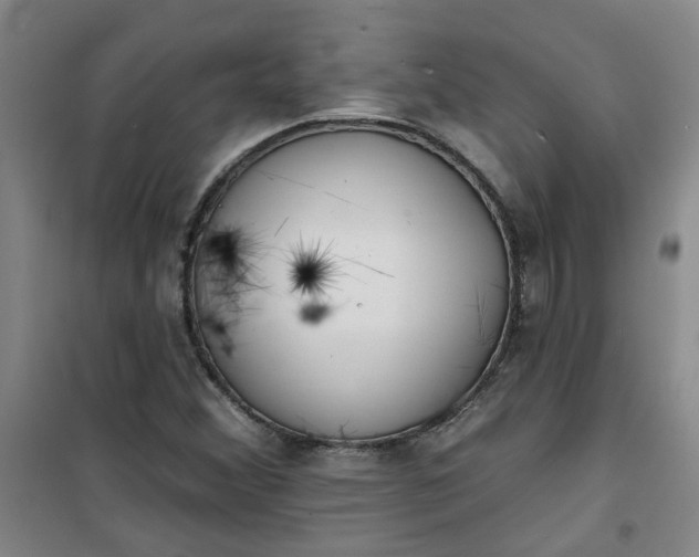 X0000101151356200807110956