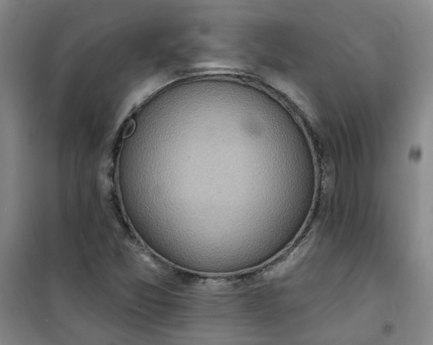 X0000101151357200807110956