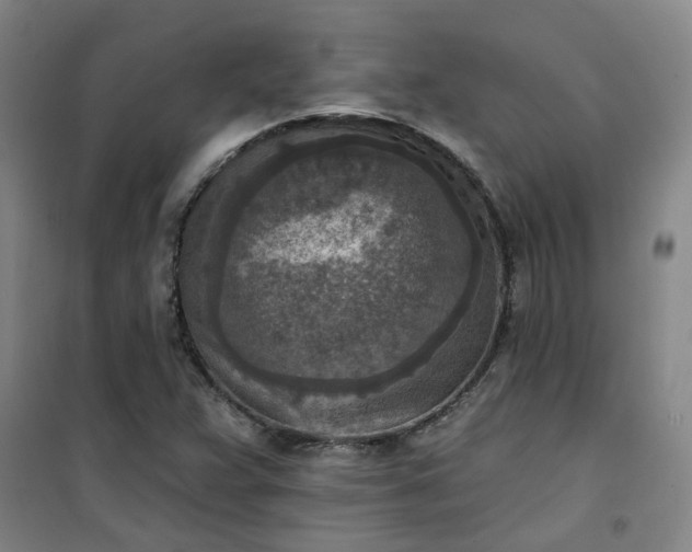 X0000101151359200807110956