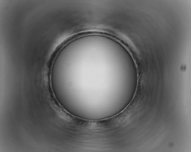 X0000101151360200807110956