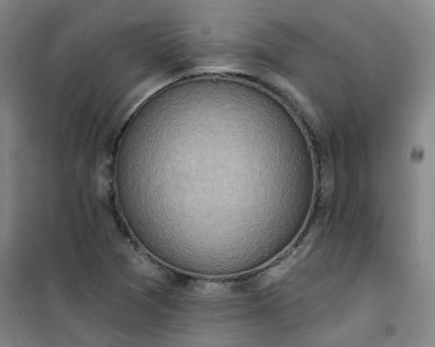 X0000101151361200807110956