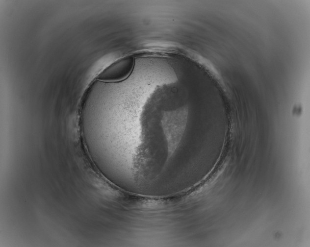 X0000101151362200807110956