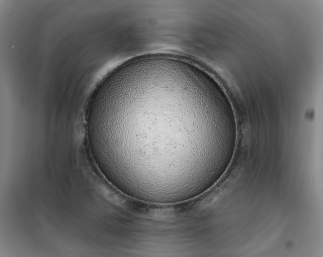 X0000101151363200807110956