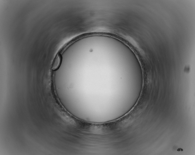 X0000101151364200807110956