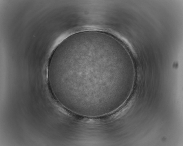 X0000101151365200807110956