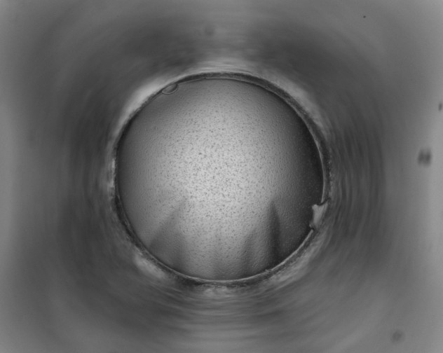 X0000101151366200807110956