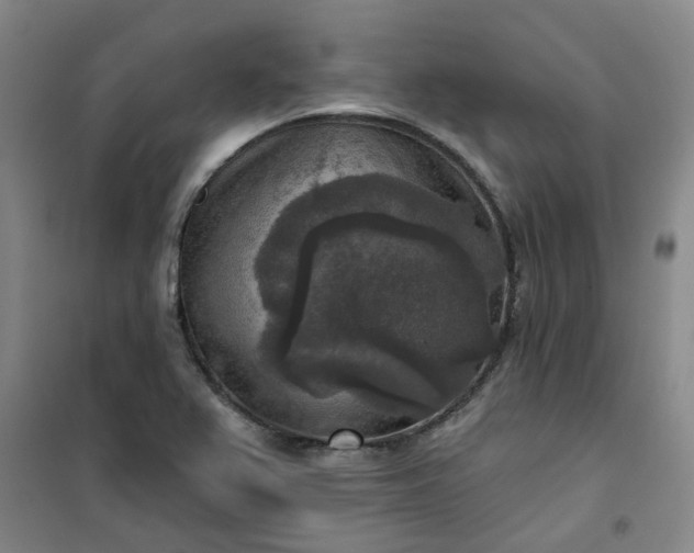 X0000101151367200807110956