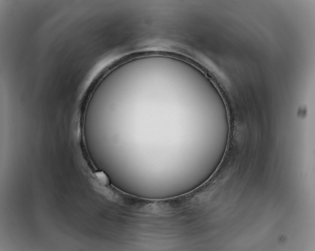 X0000101151368200807110956