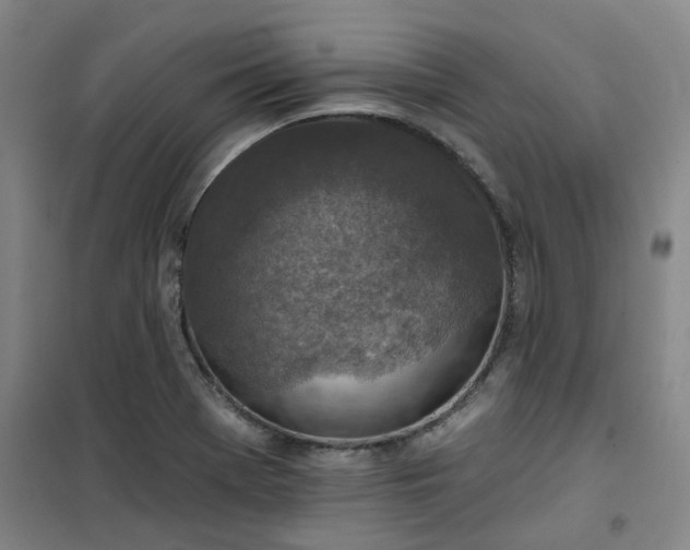 X0000101151369200807110956