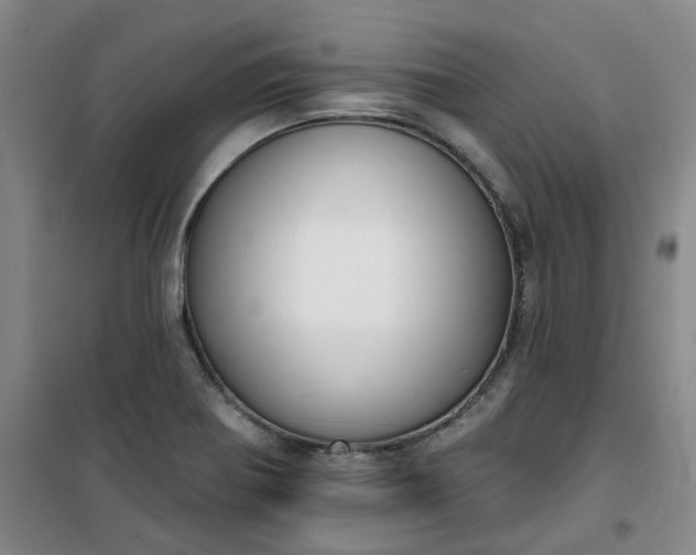 X0000101151370200807110956