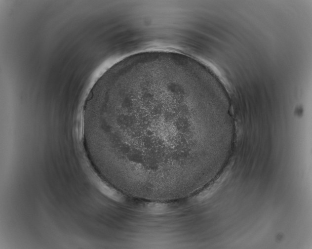 X0000101151371200807110956