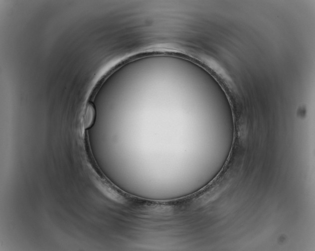 X0000101151372200807110956