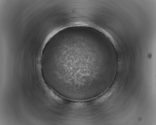 X0000101151373200807110956