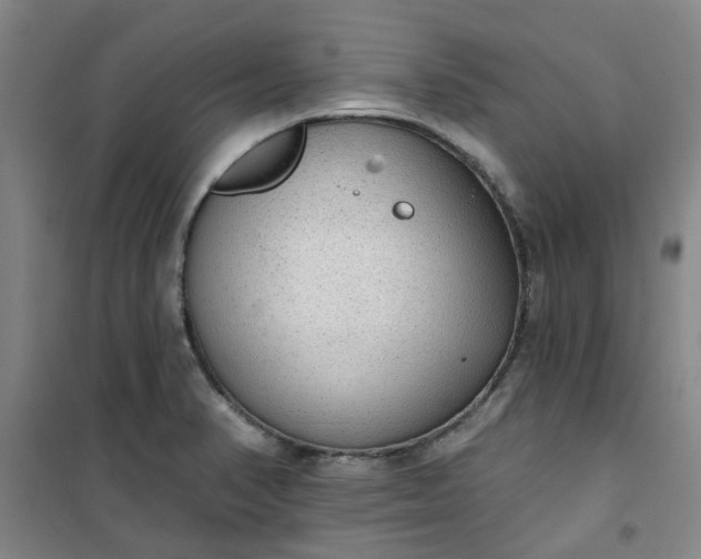 X0000101151374200807110956