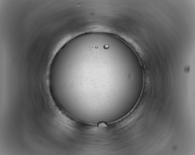 X0000101151375200807110956