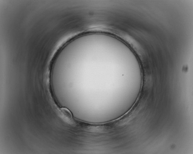 X0000101151376200807110956