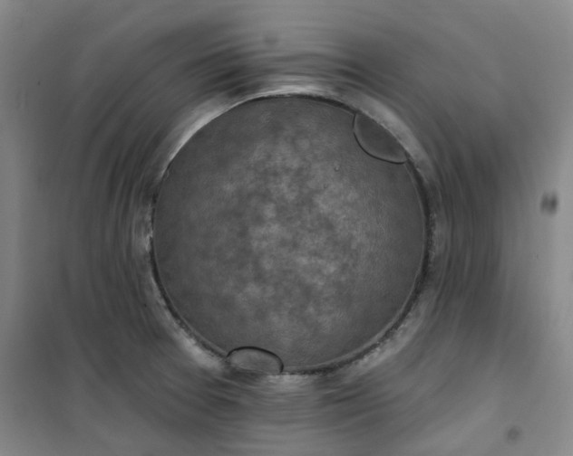 X0000101151377200807110956