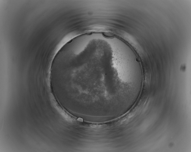 X0000101151378200807110956