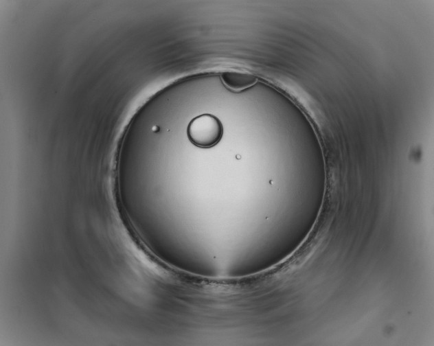 X0000101151379200807110956