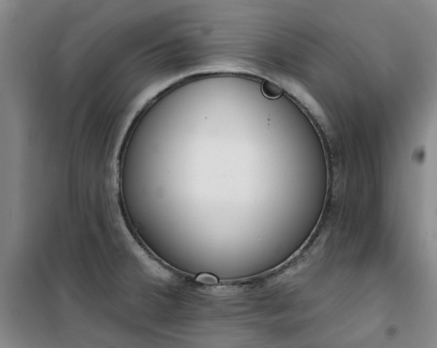 X0000101151380200807110956