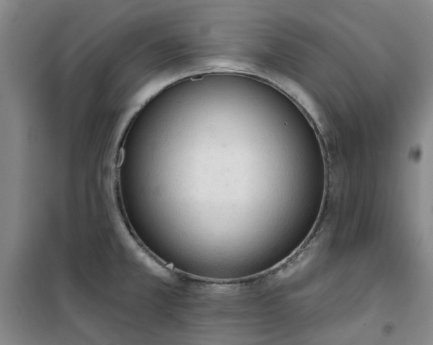 X0000101151381200807110956