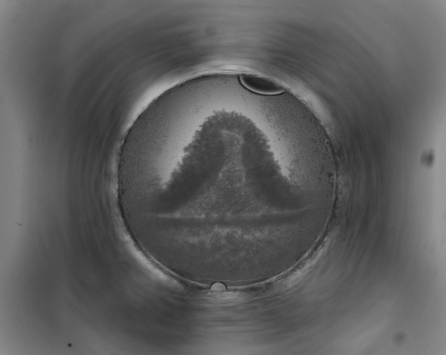 X0000101151382200807110956