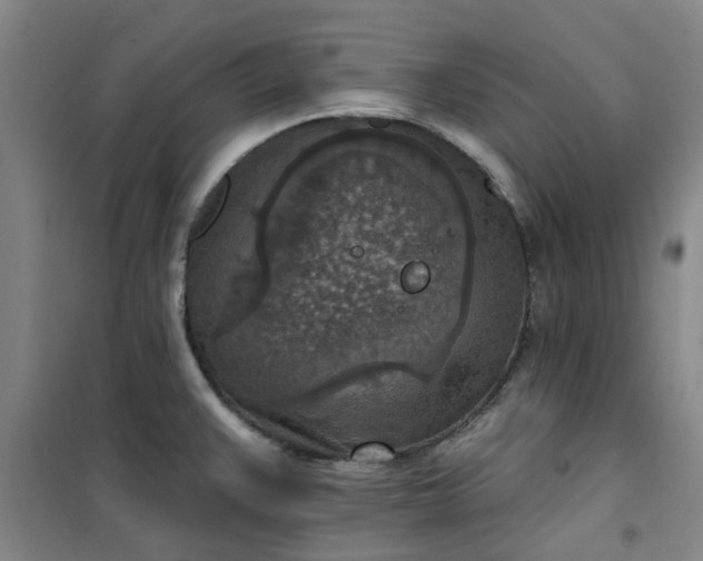 X0000101151383200807110956