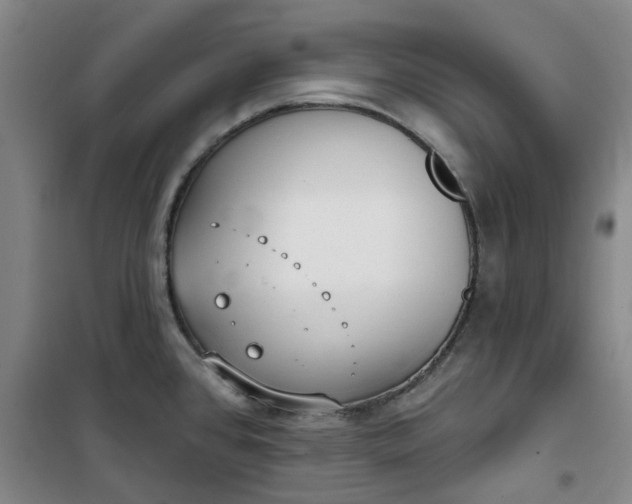 X0000101151384200807110956