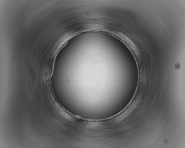 X0000101151385200807110956