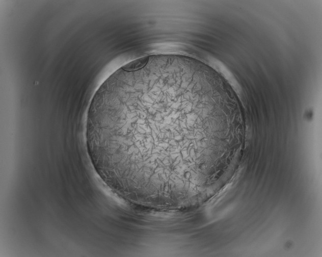 X0000101151386200807110956