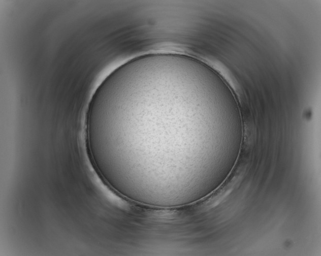 X0000101151387200807110955