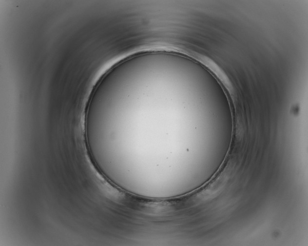 X0000101151388200807110955