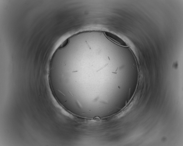 X0000101151390200807110955