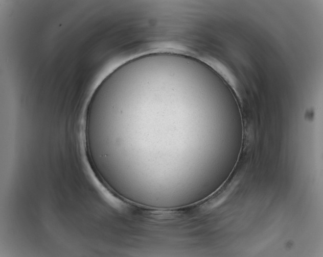 X0000101151391200807110955