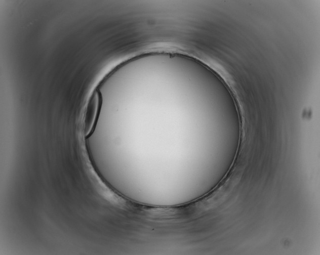 X0000101151392200807110955