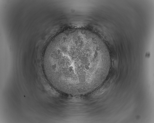 X0000101151393200807110955