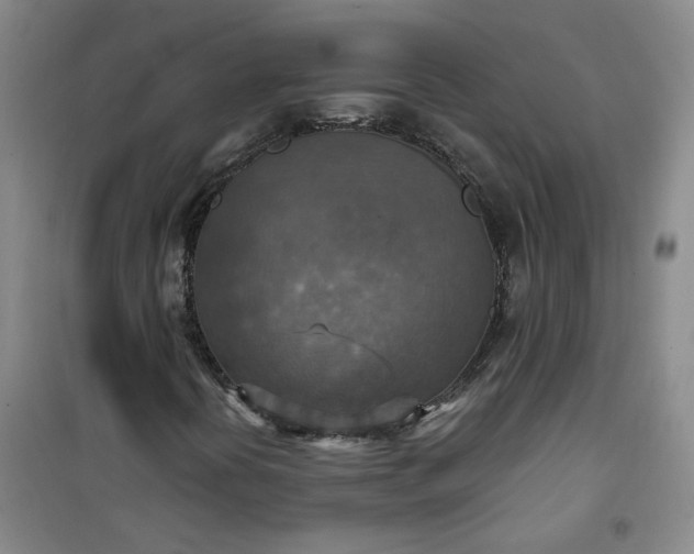 X0000101151394200807110955