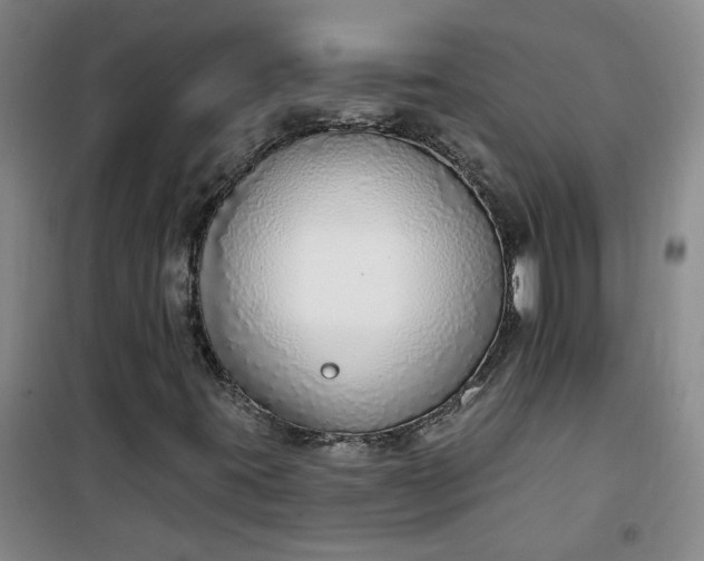 X0000101151395200807110955