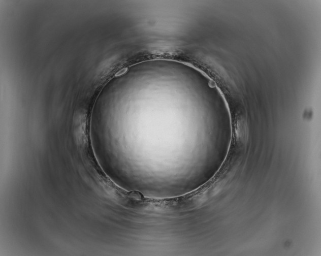 X0000101151396200807110955