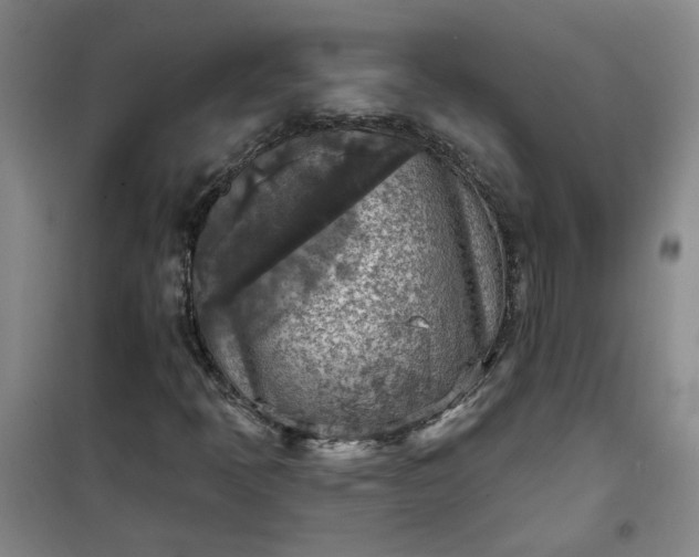 X0000101151397200807110955