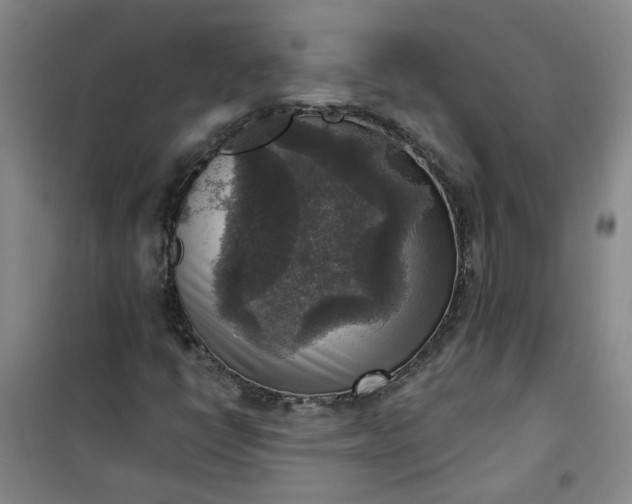 X0000101151398200807110955