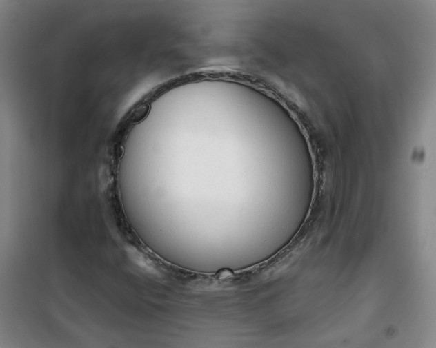 X0000101151400200807110955