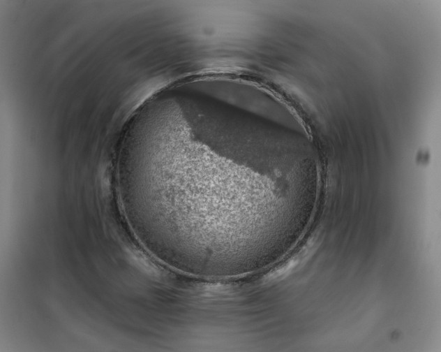 X0000101151401200807110955