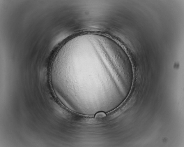 X0000101151402200807110955