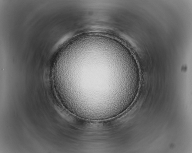 X0000101151403200807110955