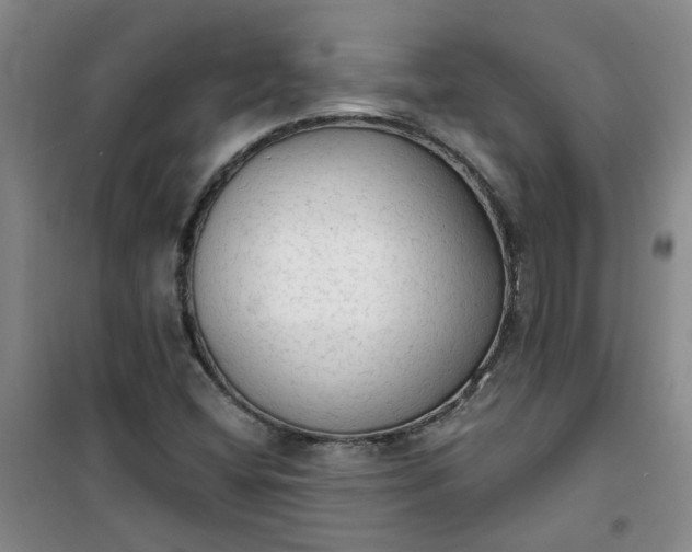 X0000101151404200807110955