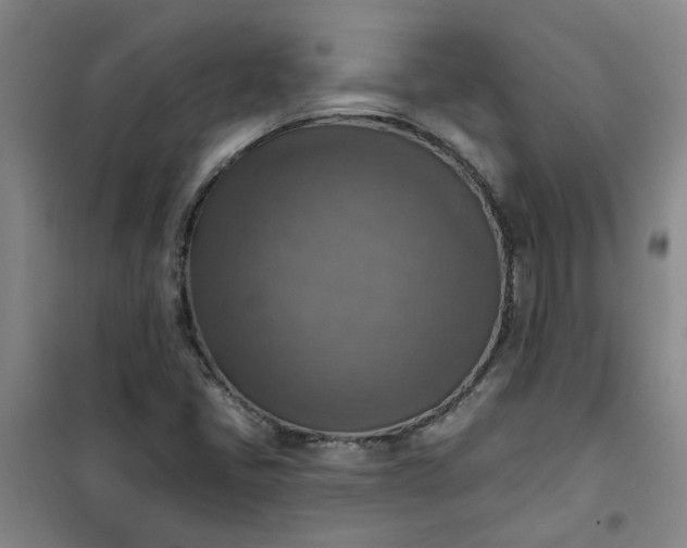 X0000101151405200807110955