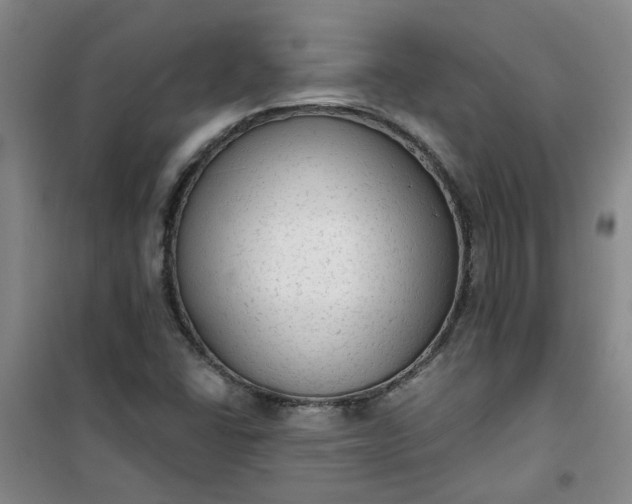 X0000101151406200807110955