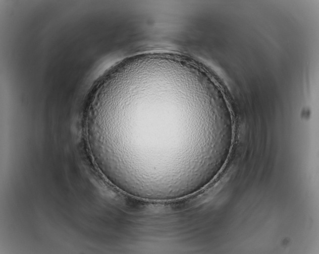 X0000101151407200807110955