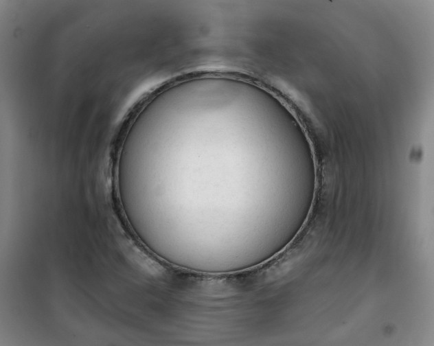 X0000101151408200807110955